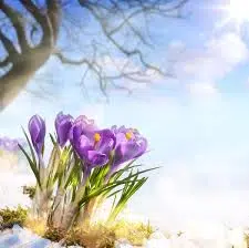 Special offer image